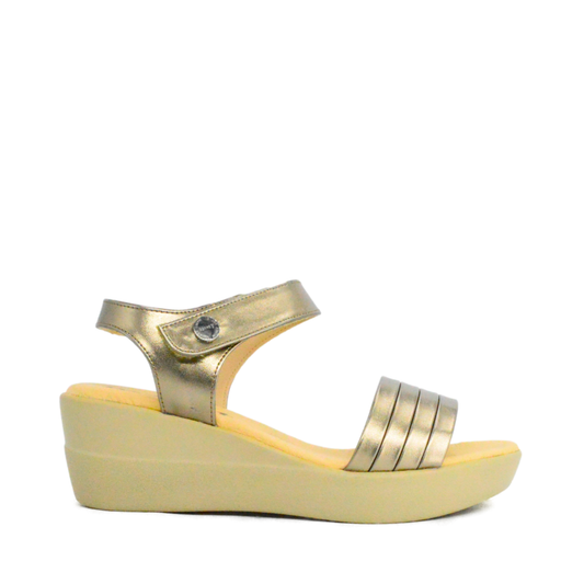 Plataformas Belize Seda