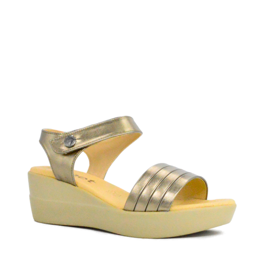 Plataformas Belize Seda