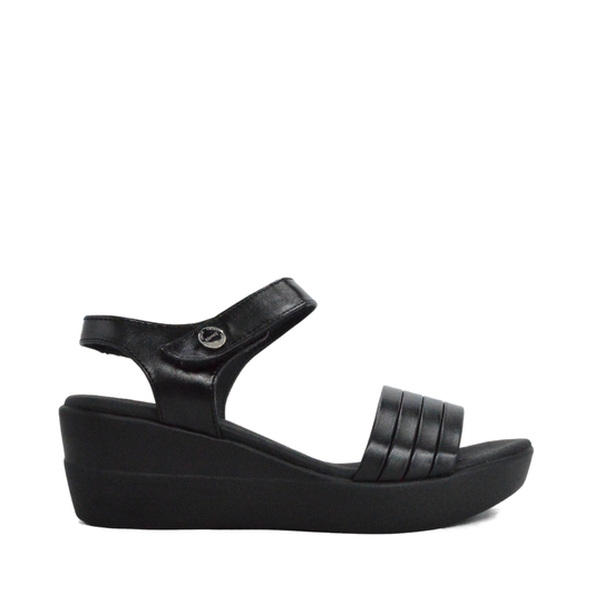 Plataformas Belize Negro